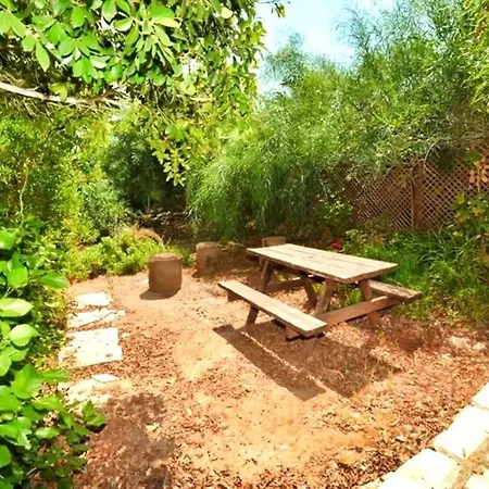 Mediterranean In 4* פרוטאראס
